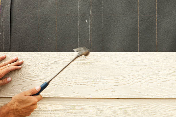 Best Brick Veneer Siding  in Sheridan, CA